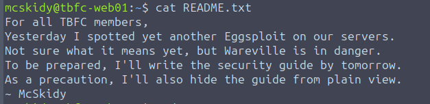 Screenshot of terminal after cat command is run