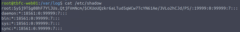 Screenshot of terminal after running cat command