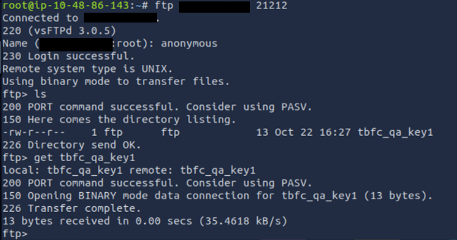 Screenshot of terminal connection to the FTP server