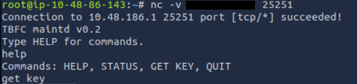 Screenshot of terminal running netcat