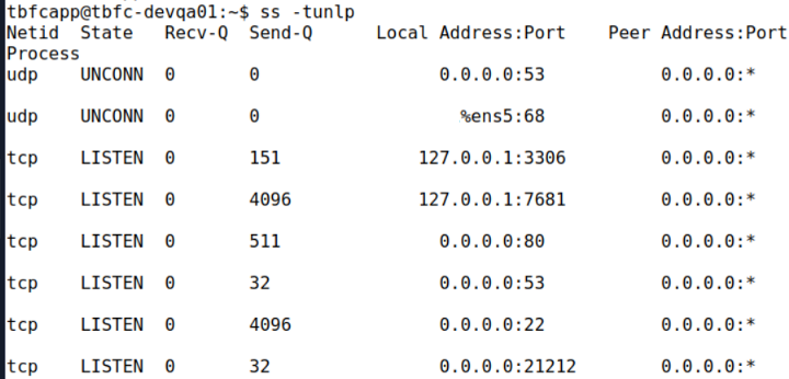 Screenshot of admin terminal after running ss command