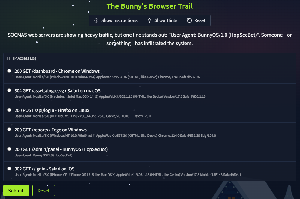 Screenshot of the web server HTTP logs