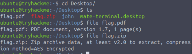 Screenshot of the terminal checking file details